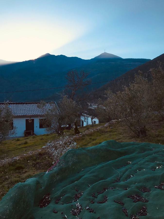 "Casa Da Russa" Mountain Experience Konuk evi Vila Real Dış mekan fotoğraf